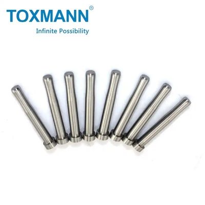 Perfittamento personalizzato per stampaggio di perforazione metallica, Punching Mold Shaping Mode e Punch and Die set Prodotto di perforazione utensili muore