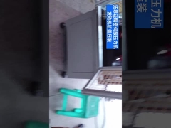 Pressione da 500 kg a 100 tonnellate Servopress di precisione